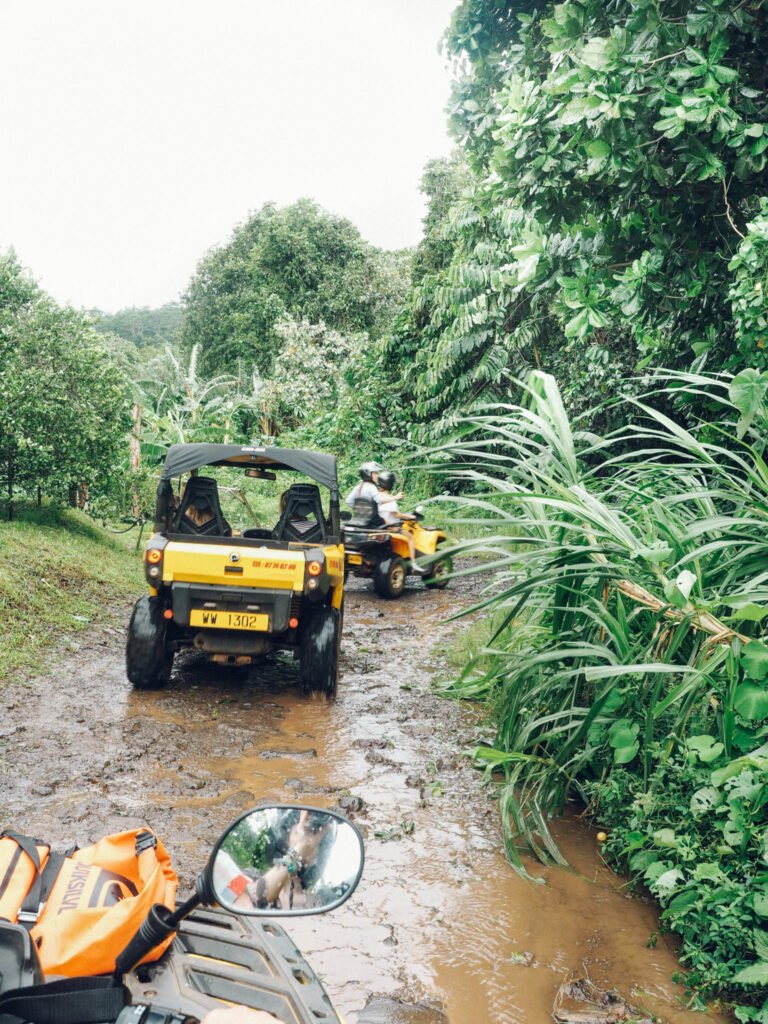 A Guide to Moorea, Tahiti