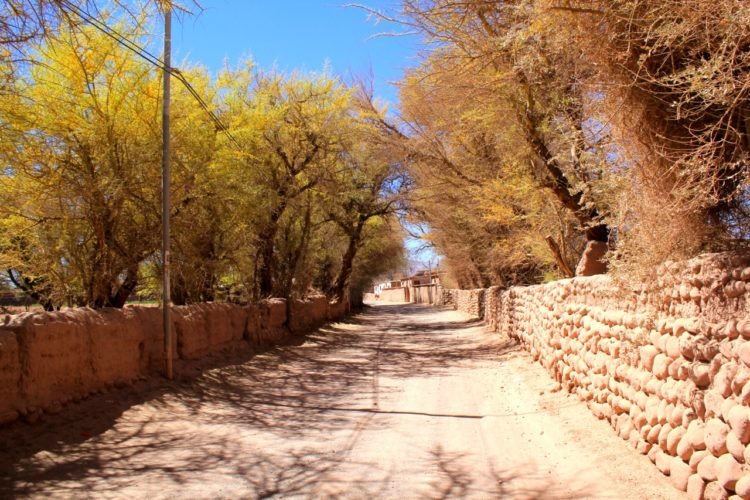 Visiting the Driest Place in the World: San Pedro de Atacama